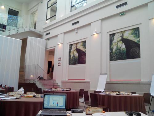 IMG-20131211-103559