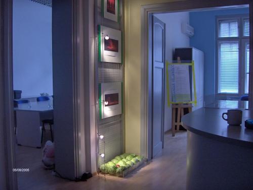 studiopellegrin0240